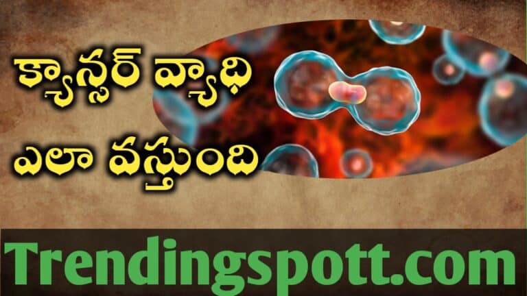 Cancer క్యాన్సర్ వ్యాధి ఎలా వస్తుంది