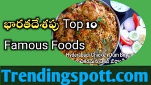 Indian:Top 10 Famous Foods