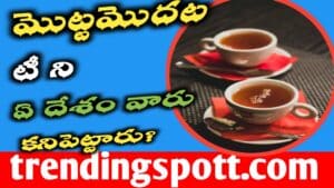 మొట్టమొదట టీ ని ఏ దేశం వారు కనిపెట్టారు?