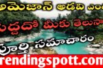 Amazon Forest History in Telugu అమెజాన్ అడవి యొక్క చరిత్ర