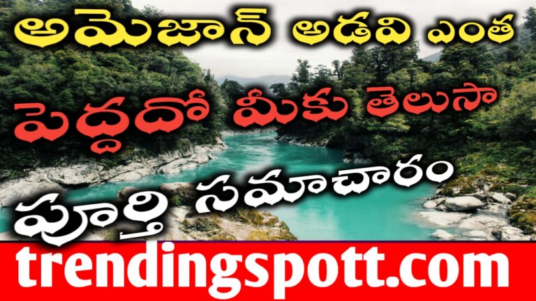 Amazon Forest History in Telugu అమెజాన్ అడవి యొక్క చరిత్ర