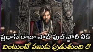 Prabhas రాజాసాబ్ ఫుల్ స్టోరీ లీక్ వింటుంటే వణుకు పుడుతుంది