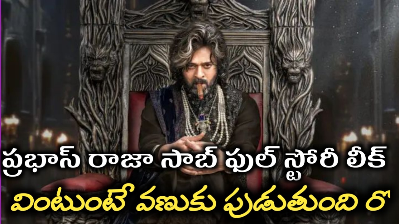 Prabhas రాజాసాబ్ ఫుల్ స్టోరీ లీక్ వింటుంటే వణుకు పుడుతుంది