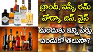 Whiskey, Vodka, Rum, Wine, Brandy Champagne మద్య తేడా ఏంటిMind Blowing Facts In Telugu